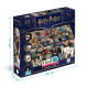 Детская настольная игра "Find it: Harry Potter" 200585 4 двухсторонних поля 80 игровых карт 2-6 игроков