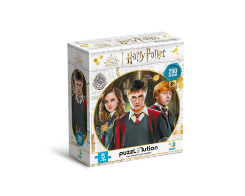 Пазл класичний "Harry Potter. Гаррі та друзі" 200498, 250 елементів