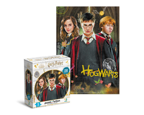 Пазл класичний "Harry Potter. Гаррі та друзі" 200498, 250 елементів