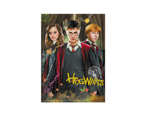 Пазл класичний "Harry Potter. Гаррі та друзі" 200498, 250 елементів