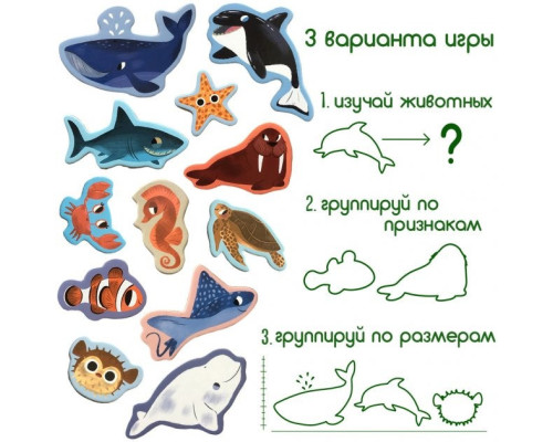 Набір магнітів Magdum "Морські тварини" ML4031-07 EN