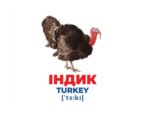 Набор развивающих карточек Гений с пеленок "Домашние животные" Ранок 10107191У, 17 карточек