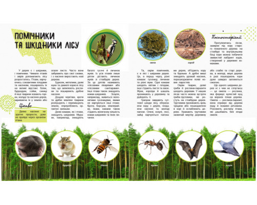 Дитяча книга " Світ і його таємниці: Життя лісу" 740002 укр. мовою