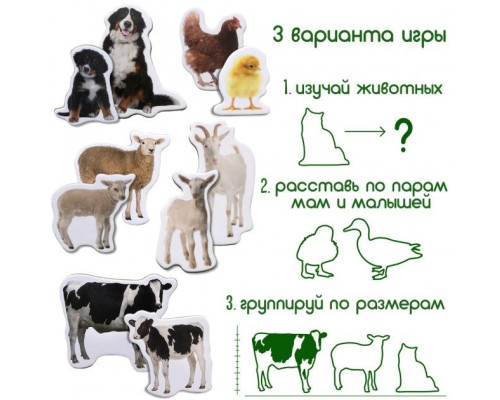 Набір магнітів Magdum "Ферма Мами і малюки" ML4031-08 EN