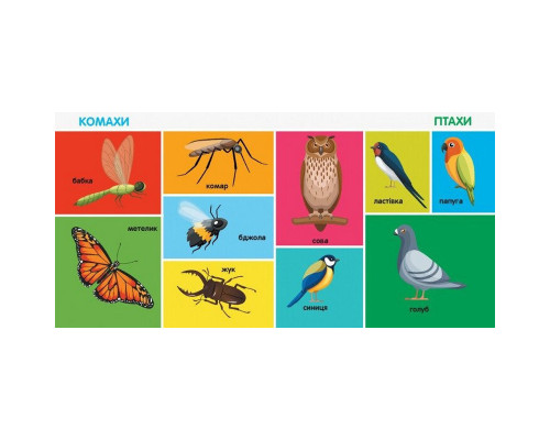 Дитяча смарт-книжечка "100 перших слів" 944002, 24 сторінки