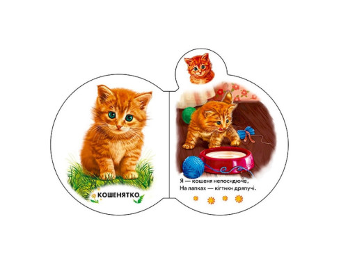 Картонна книжечка для найменших Малюки: У дворі 411015 аудіо-бонус