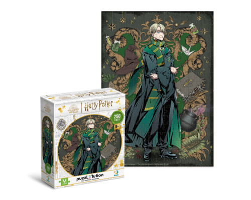 Пазл класичний "Harry Potter. Династія чарівників. Драко" 200496, 250 елементів