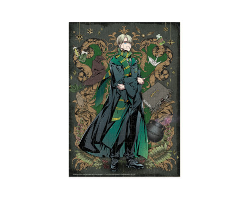 Пазл класичний "Harry Potter. Династія чарівників. Драко" 200496, 250 елементів