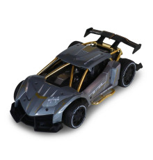 Машинка на радиоуправлении "Extreme Ricing" SL-8212ARHS, свет