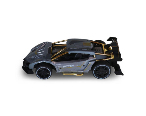 Машинка на радиоуправлении "Extreme Ricing" SL-8212ARHS, свет