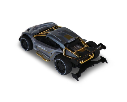 Машинка на радиоуправлении "Extreme Ricing" SL-8212ARHS, свет