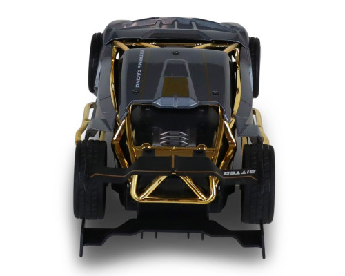 Машинка на радиоуправлении "Extreme Ricing" SL-8212ARHS, свет