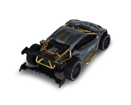 Машинка на радиоуправлении "Extreme Ricing" SL-8212ARHS, свет