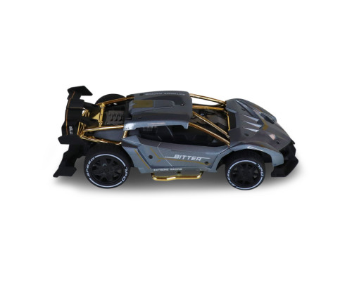 Машинка на радиоуправлении "Extreme Ricing" SL-8212ARHS, свет