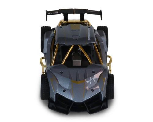 Машинка на радиоуправлении "Extreme Ricing" SL-8212ARHS, свет