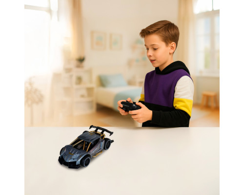 Машинка на радиоуправлении "Extreme Ricing" SL-8212ARHS, свет