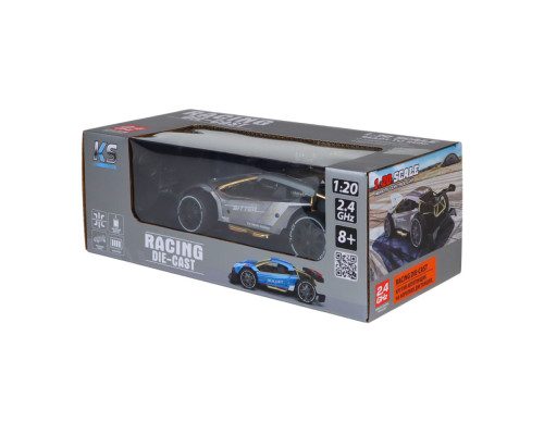 Машинка на радиоуправлении "Extreme Ricing" SL-8212ARHS, свет