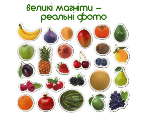 Набір магнітів Magdum "Фрукти і ягоди" ML4031-11 EN