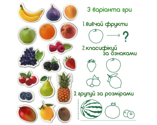 Набір магнітів Magdum "Фрукти і ягоди" ML4031-11 EN