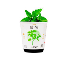 Ботанические эксперименты "Цветы в горшке" X2024-153-2 почва, семена, стакан с крышкой