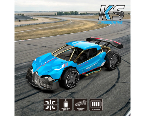 Машинка на радиоуправлении "Extreme Ricing" SL-8213ARHB, свет