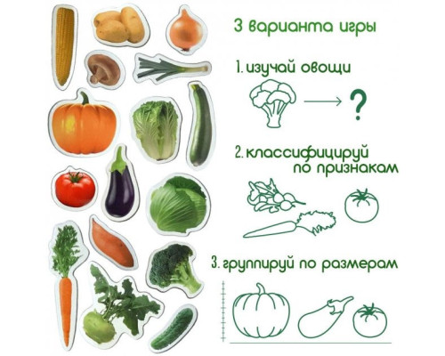 Набір магнітів Magdum "Овочі" ML4031-12 EN