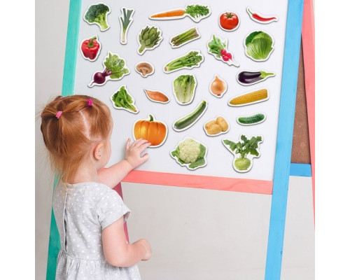 Набір магнітів Magdum "Овочі" ML4031-12 EN