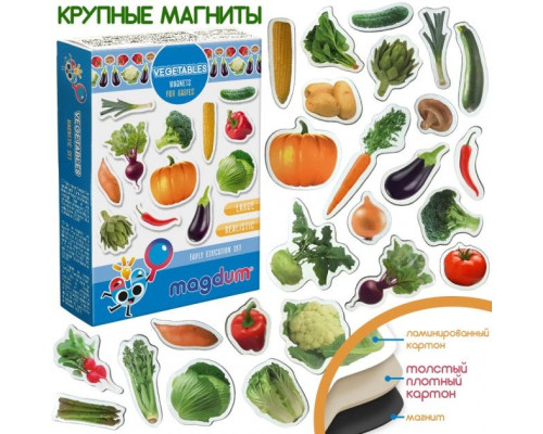 Набір магнітів Magdum "Овочі" ML4031-12 EN