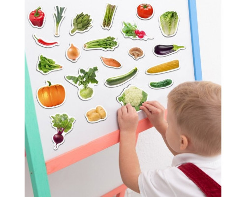 Набір магнітів Magdum "Овочі" ML4031-12 EN