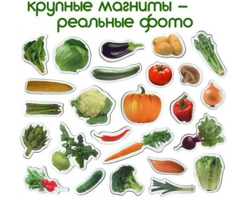 Набір магнітів Magdum "Овочі" ML4031-12 EN