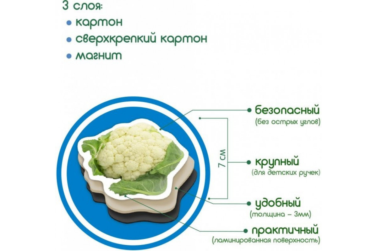 Набір магнітів Magdum "Овочі" ML4031-12 EN