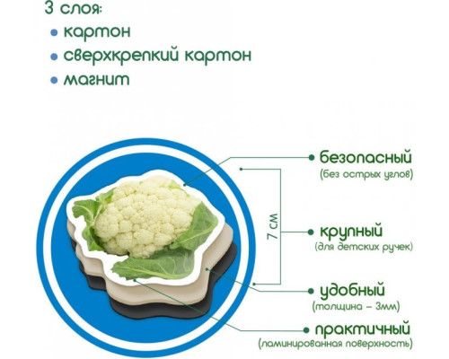 Набір магнітів Magdum "Овочі" ML4031-12 EN