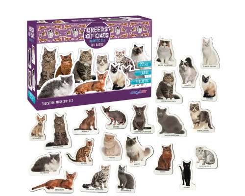 Набір магнітів Magdum "Породи кішок" ML4031-13 EN