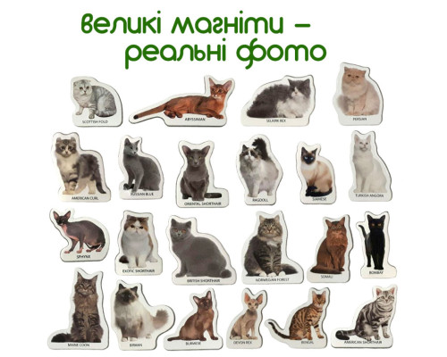 Набір магнітів Magdum "Породи кішок" ML4031-13 EN