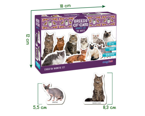Набір магнітів Magdum "Породи кішок" ML4031-13 EN