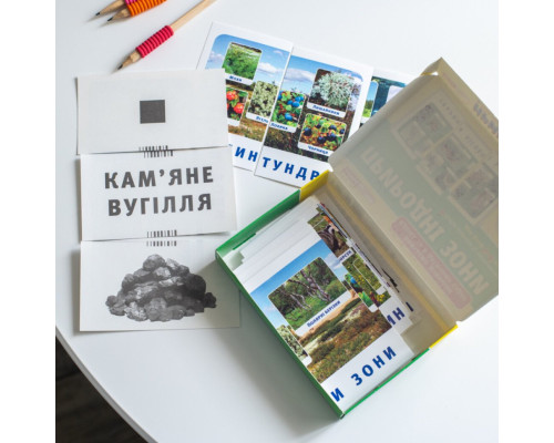Набір тематичних карток "Природні зони" 13169002 для дітей 4-6 років