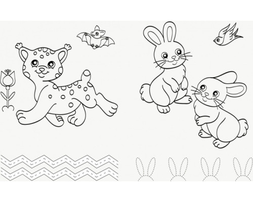 Дитяча розмальовка з прописами. Єнот і компанія 551002, 8 сторінок