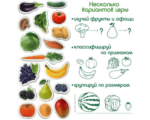 Набор магнитов Magdum "Фрукты и овощи" ML4031-15 EN