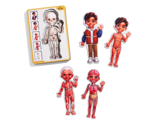 Дерев'яний пазл-вкладиш "Анатомія людини - хлопчик-2" (ПСД261) PSD261 будова тіла