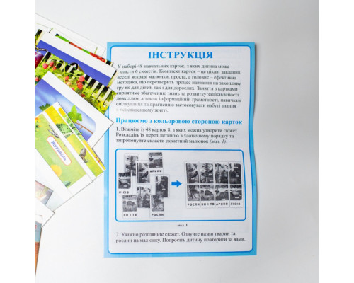 Набір тематичних карток "Екосистеми" 13169003 для дітей 4-6 років