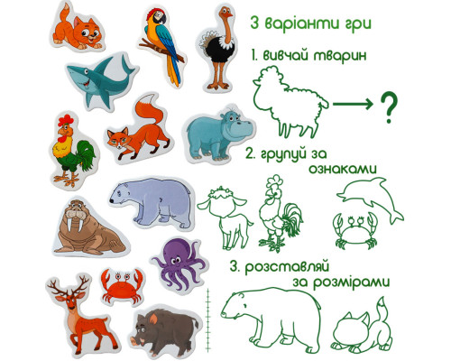 Набір магнітів Magdum Тварини ML4031-16 EN