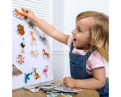 Набір магнітів Magdum Тварини ML4031-16 EN