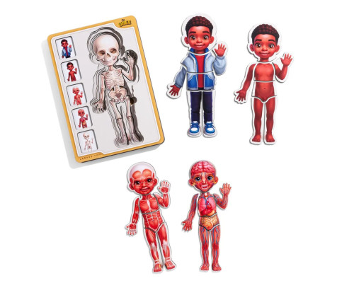 Дерев'яний пазл-вкладиш "Анатомія людини - хлопчик-3" (ПСД262) PSD262 будова тіла