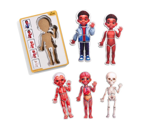 Дерев'яний пазл-вкладиш "Анатомія людини - хлопчик-3" (ПСД262) PSD262 будова тіла