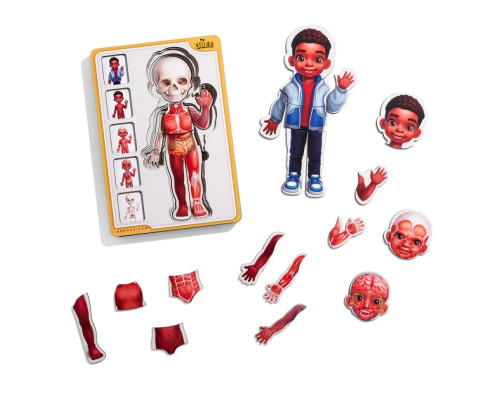 Дерев'яний пазл-вкладиш "Анатомія людини - хлопчик-3" (ПСД262) PSD262 будова тіла