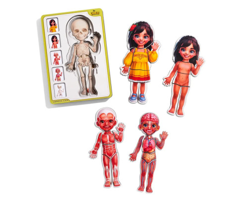 Деревянный пазл-вкладыш "Анатомия человека - девочка-2" (ПСД263) PSD263 строение тела