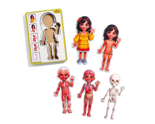 Деревянный пазл-вкладыш "Анатомия человека - девочка-2" (ПСД263) PSD263 строение тела