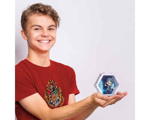 Колекційна фігурка Гаррі Поттер WOW! PODS 4D WW-1210-04 серії "Гаррі Поттер"