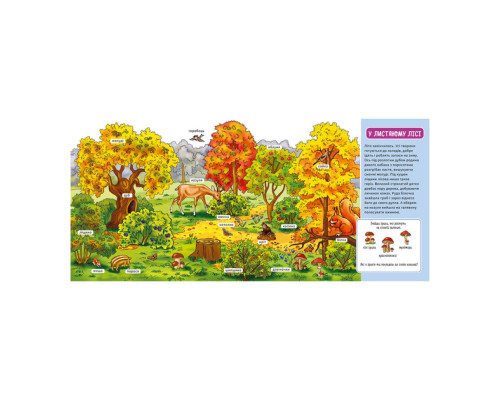 Мій перший словничок "У лісі" Ранок 116032 з віконцями