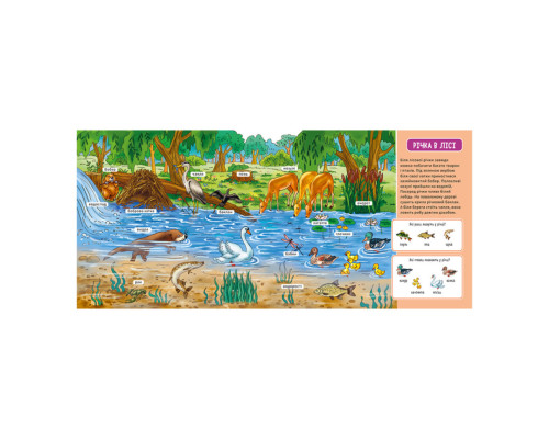 Мій перший словничок "У лісі" Ранок 116032 з віконцями